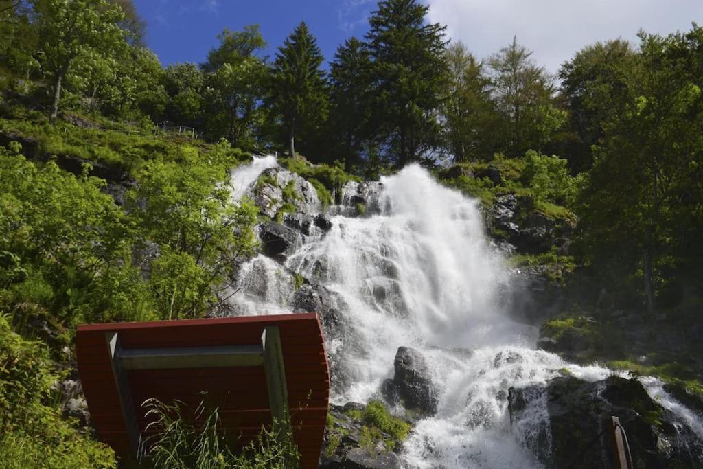 Waldlicht Titisee Exteriér fotografie