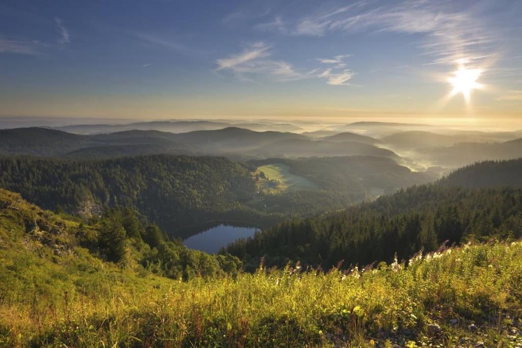 Waldlicht Titisee Exteriér fotografie