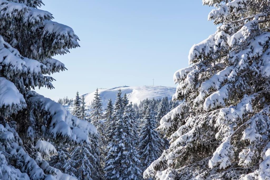 Waldlicht Titisee Exteriér fotografie